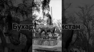 Бухара