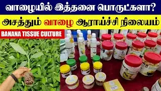 Banana Tissue Culture | #Banana Value Added Products | Value Added Business Ideas #OorKuruvi #ICAR