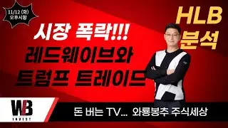 [오후시황]  HLB 분석 / 시장 폭락!!! 레드웨이브와 트럼프 트레이드