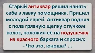 ✡️ Старый Антиквар! Еврейские Анекдоты! Анекдоты про Евреев! Выпуск 