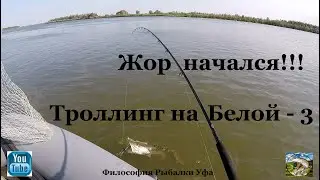 Жор начался !!! Троллинг на Белой - 3