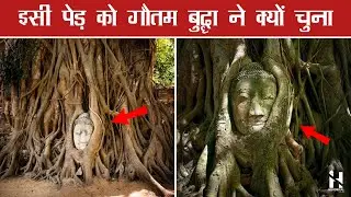ऐसे थे गौतम बुद्ध || Story of Gautama Buddha in Hindi