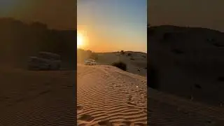 Dubai Desert Safari ~ #shortvideo #shorts