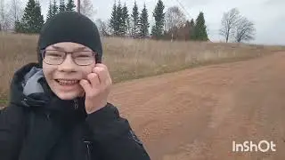 Бобры начали строить дом на дереве