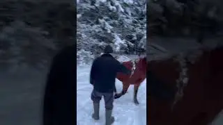 С конём. Кто узнал!?)