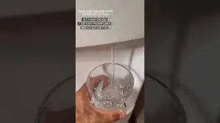 Джавид Рустам Майер