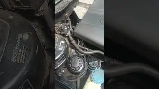 ягуар