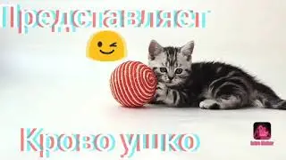 Моё интро D ( нет это пиз....)