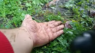 hand breaking and shoe cleaning