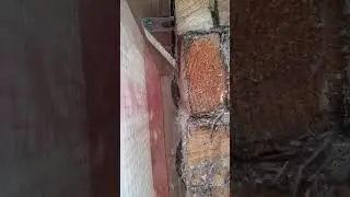 #утепление #строительство #эковата