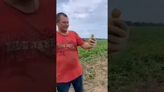 Идеальная пара 😍