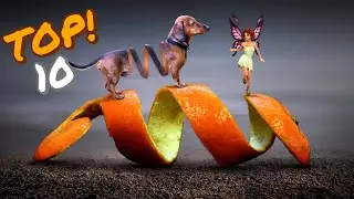 LOS mejores FOTOMONTAJES del 2019