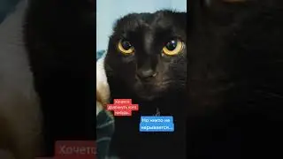 4 мая 2022 г.