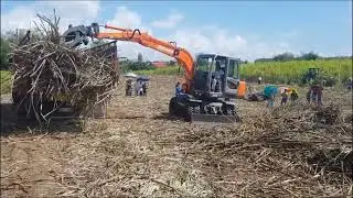 Mini Excavator sugar cane grab loader timber grab log loading