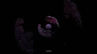 Generative visuals | Acrylicode 