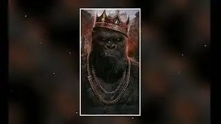 Nipsey Hussle x 50 Cent Type Beat 2022 | SilverBack Flow 🦍| (Prod By @HeartLandTaylor)