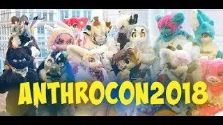 Candy Paws Goes to Furry Convention | Anthrocon 2018