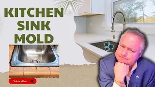 Surprising truth about kitchen sink mold
