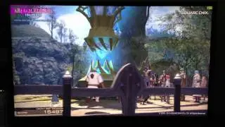 Final Fantasy XIV: A Realm Reborn Official Benchmark