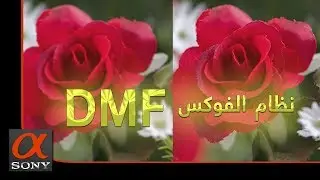 نظرة سريعة لنظام الفوكس DMF - SONY a7R III