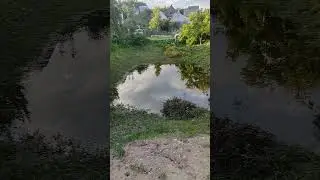 высыхает