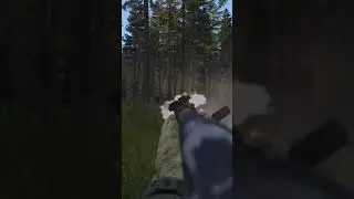 Синхронизация DayZ