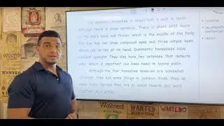English Paragraph Correction/Editing: Advanced, Exercise Eighteen