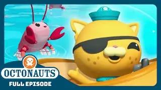 ‪@Octonauts‬