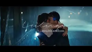 Ceilings - Multiships AMV