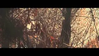 За окном