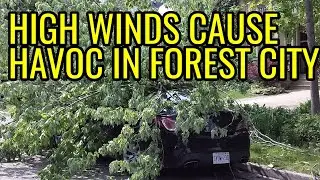 High winds down trees power lines damage homes and vehicles London Ontario May 21 2022