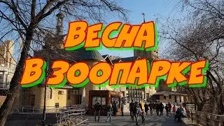 Весна в зоопарке