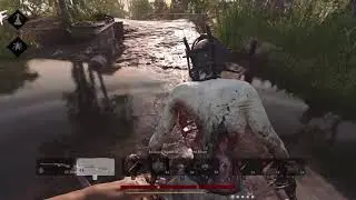 Hunt: Showdown - 2020-12-15 21 - bug/crash again