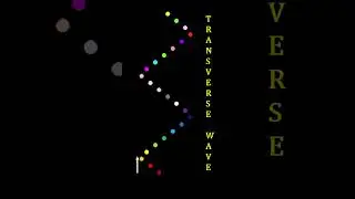 Transverse Wave #physics #maths #mathematics #neet #cbse #jee #icse