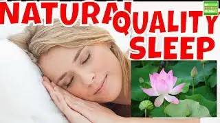 How Could We Get A Quality Sleep Naturally and Fight Insomnia .