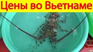 Цены на продукты и еду во Вьетнаме, Нячанг. Сколько стоит алкоголь и фрукты в Нячанге