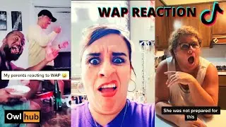 WAP reaction parents | Cardi b feat. Megan Thee Stallion - WAP | Funny Tik Tok Compilation #4