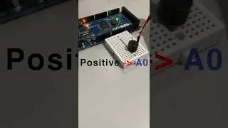 Making MUSIC with a BUZZER! 