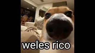 Weles rico #memes #voiceacting #funny #shorts #voiceover
