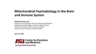 Dr Martin Picard - Mitochondrial Psychobiology in the Brain and Immune System