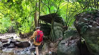 FULL VIDEO 3 days of camping deep in the forest, building bamboo house, campfires and grilling food
