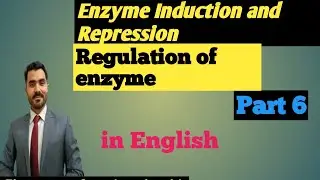 Part 6 of Enzyme regulation Enzyme INDUCTION and Enzyme REPRESSION