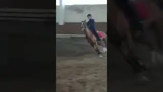 Лошадь таскает. Главное уметь сидеть в седле и не расслабляться