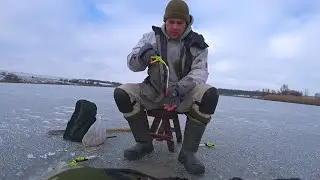 Winter Roach Fishing Craze, Best Wiring for Fishing with a Single Rod and Jig