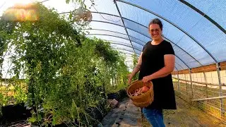 Preparing The Greenhouse for FALL Planting! | Garden Work & Farm Life VLOG