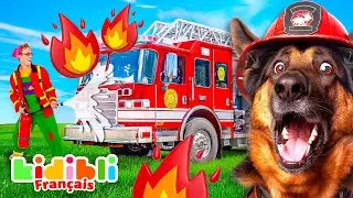 Compilation Chiens Pompiers et Chevaux | Vidéos Educatives pour Enfants | Kidibli