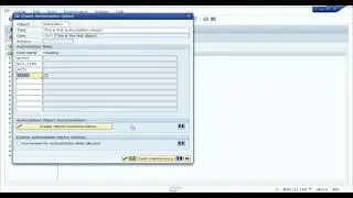 Create Authorization Object in SAP
