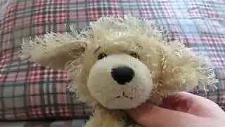 Ruff's Video Diary