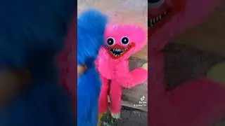 Хаги ваги