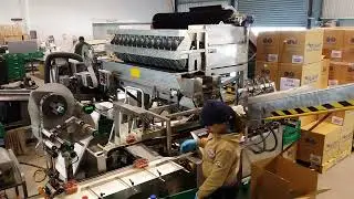 Newtec 3013LD Weigher with Newtec NBM-2QC Punnet System